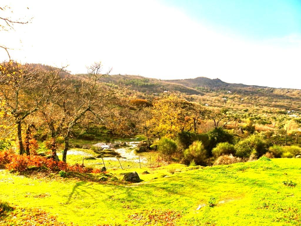 Marvão 퀸타 도 마르바오 게스트하우스 객실 사진