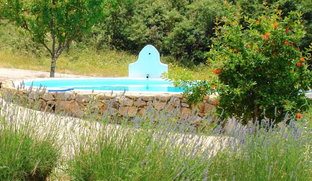 Marvão 퀸타 도 마르바오 게스트하우스 외부 사진