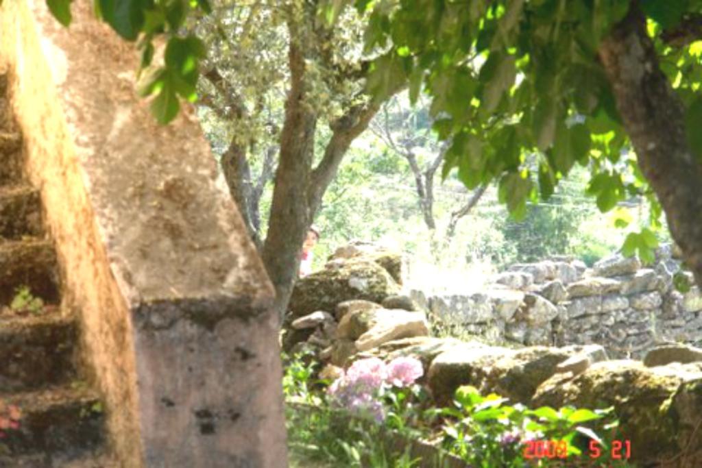 Marvão 퀸타 도 마르바오 게스트하우스 외부 사진