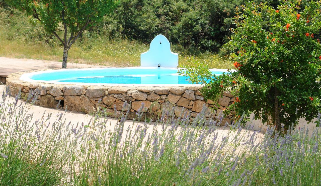Marvão 퀸타 도 마르바오 게스트하우스 외부 사진