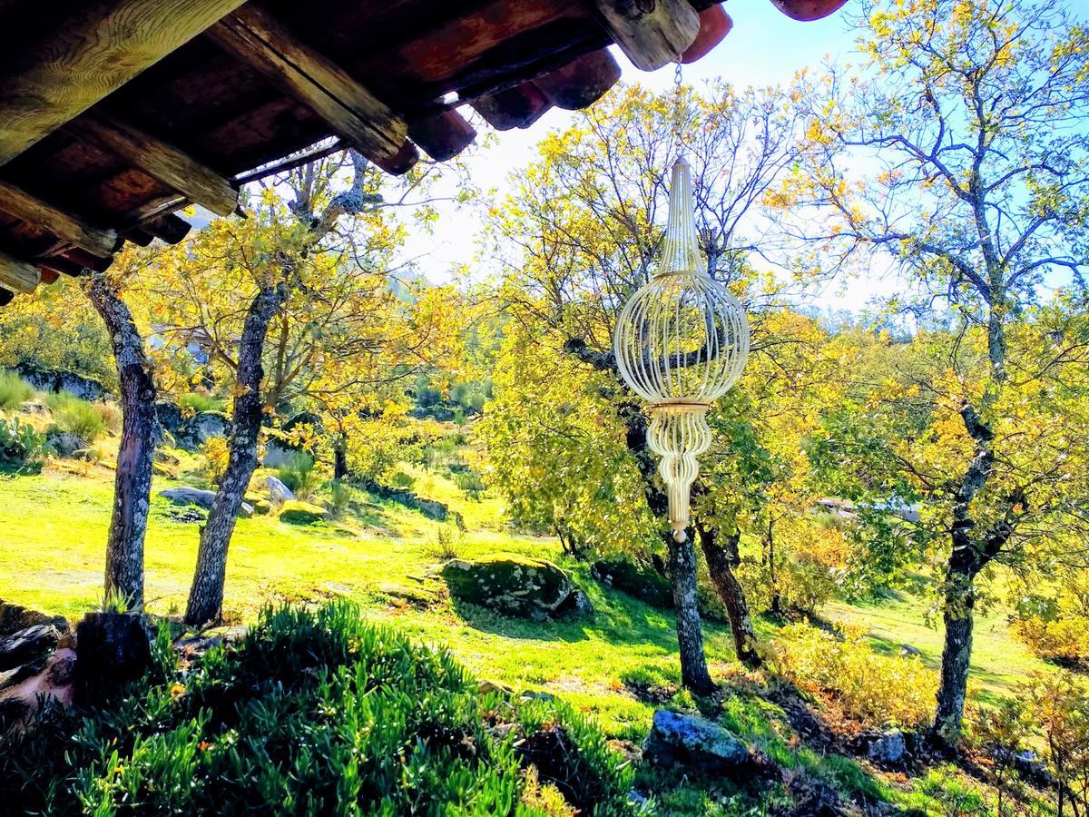 Marvão 퀸타 도 마르바오 게스트하우스 외부 사진