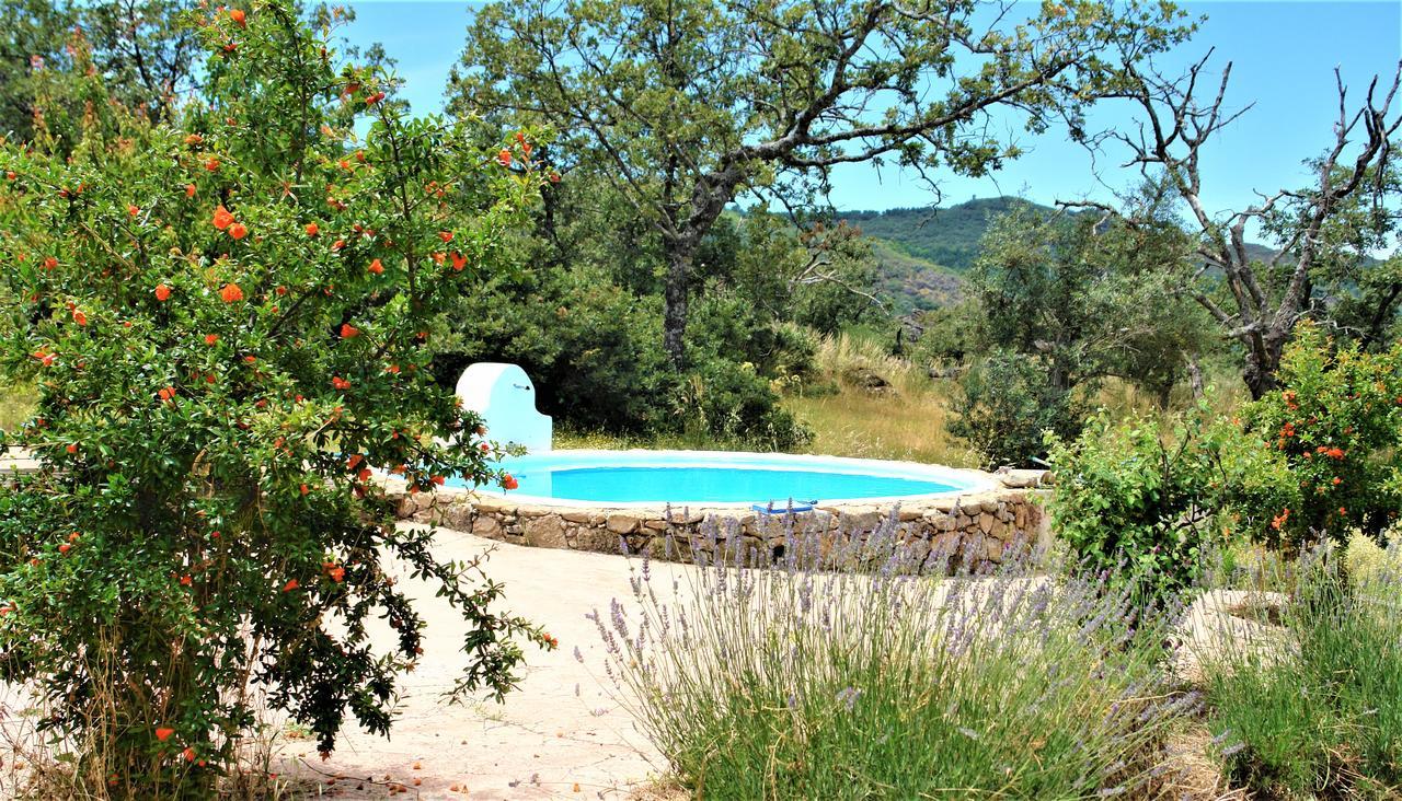 Marvão 퀸타 도 마르바오 게스트하우스 외부 사진